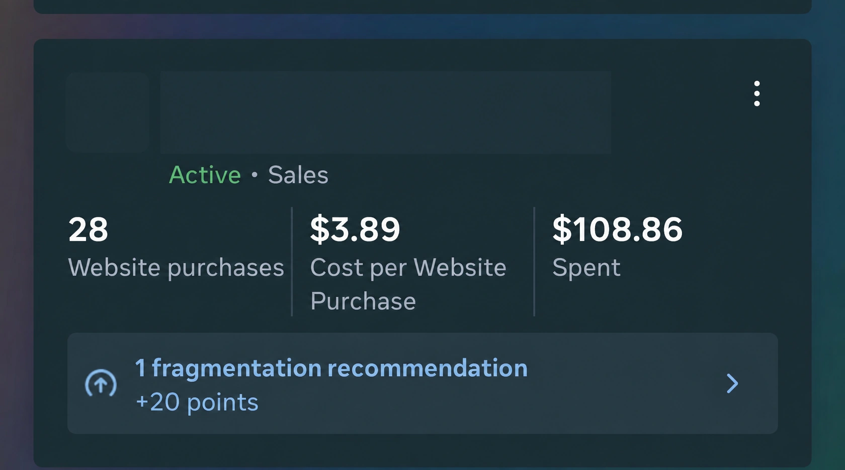 Anonymized Meta campaign showing 28 website purchases, $3.89 cost per purchase and $108.86 spent