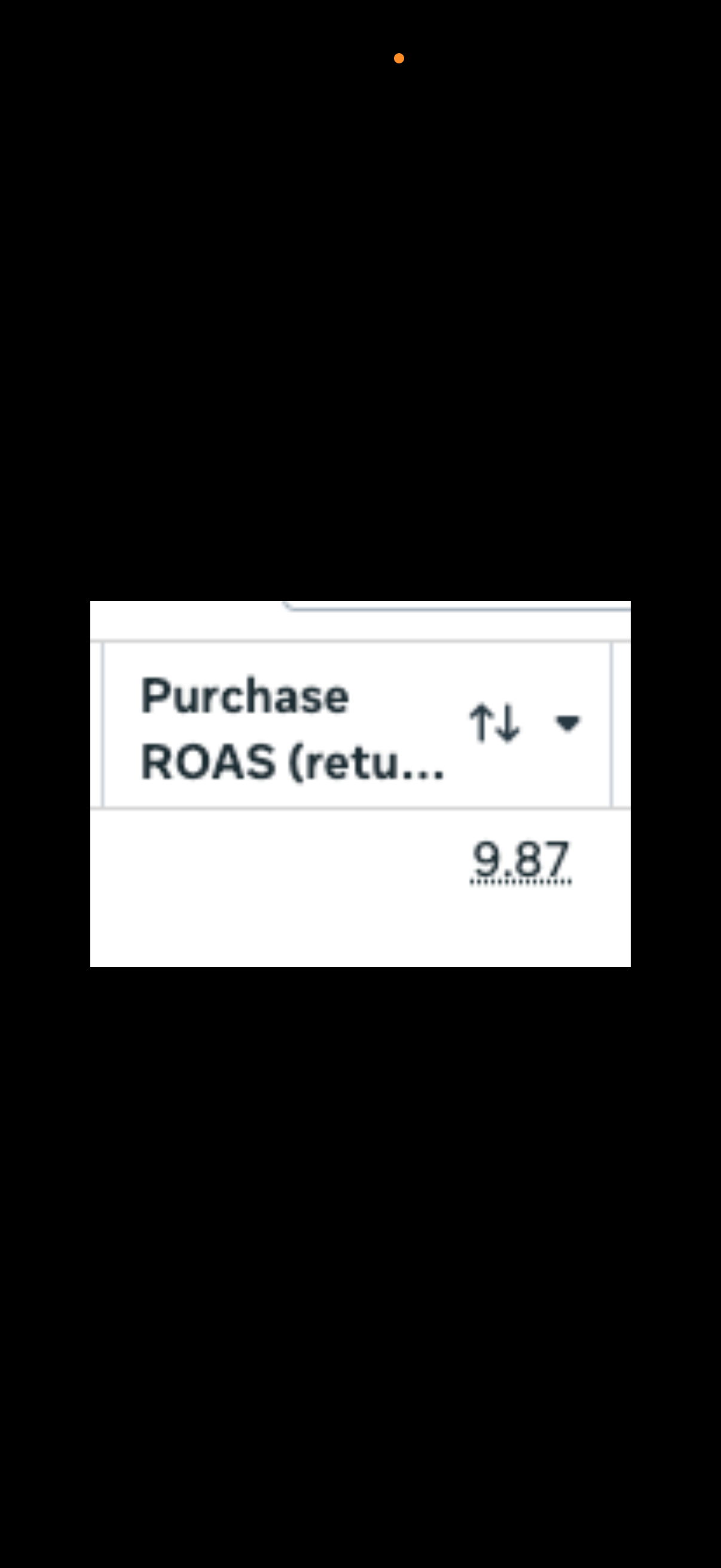 Cropped Meta Purchase ROAS column displaying 9.87